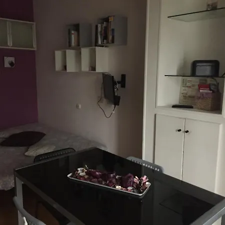 Orchidea Cir0347at00249