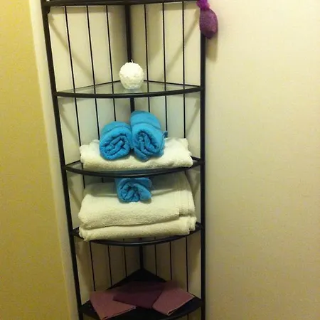 Orchidea Cir0347at00249 帕爾馬