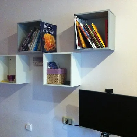 Orchidea Cir0347at00249 帕爾馬