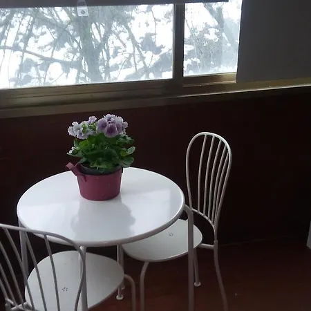 Orchidea Cir0347at00249 帕爾馬