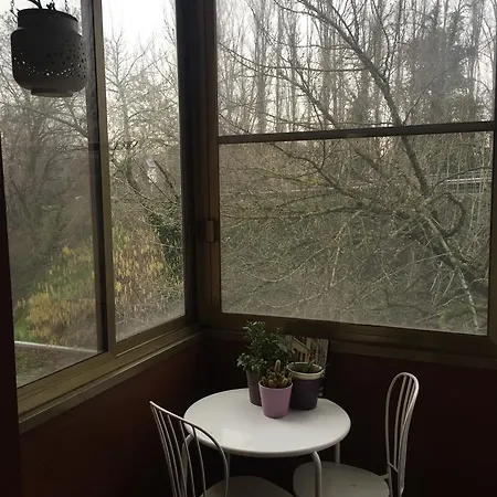 Orchidea Cir0347at00249 *