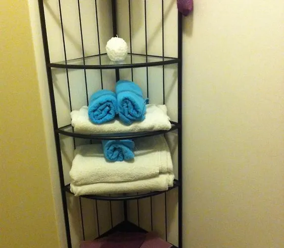 Orchidea Cir0347at00249 Parma