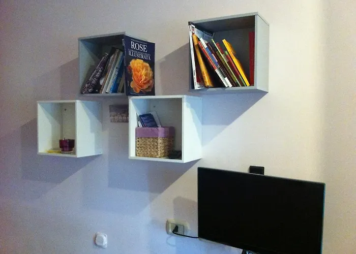 Orchidea Cir0347at00249 بارما