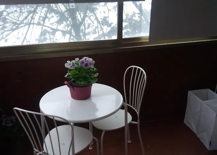 Orchidea Cir0347at00249 بارما